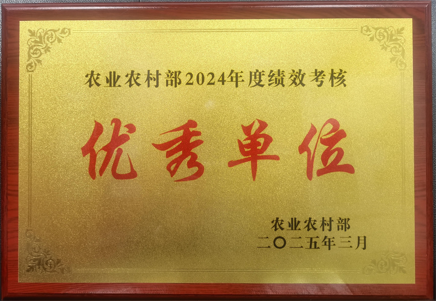 绩效考核优秀单位.jpg